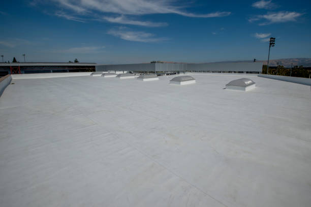 Best Gutter Installation and Repair  in Riverside, CT