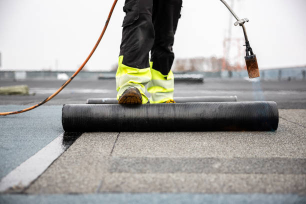 Best Gutter Replacement  in Riverside, CT